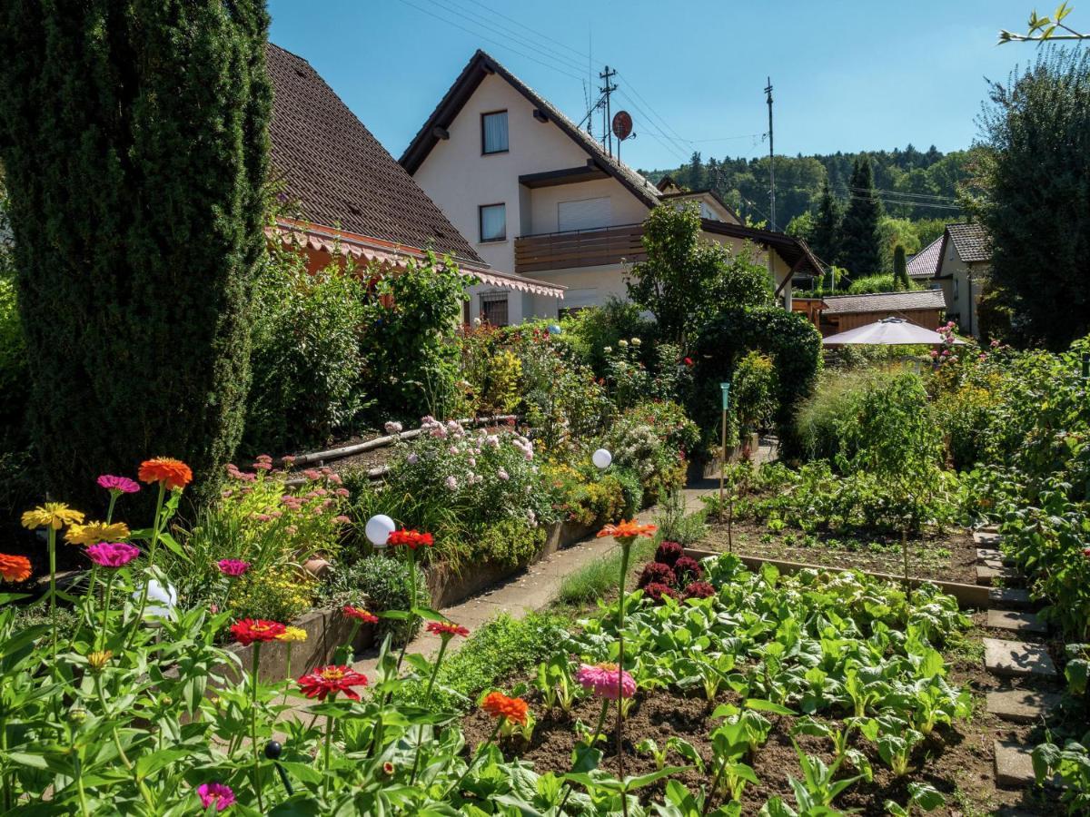 Cheerful Apartment Near City Centre Of Haslach Хаслах-им-Кинцигталь Экстерьер фото